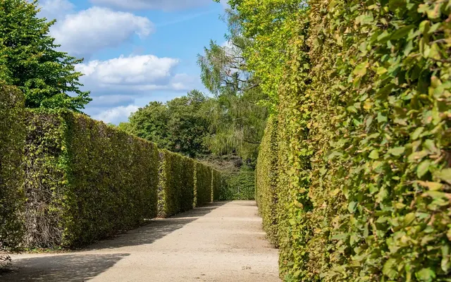 Garten- & Außenpflege