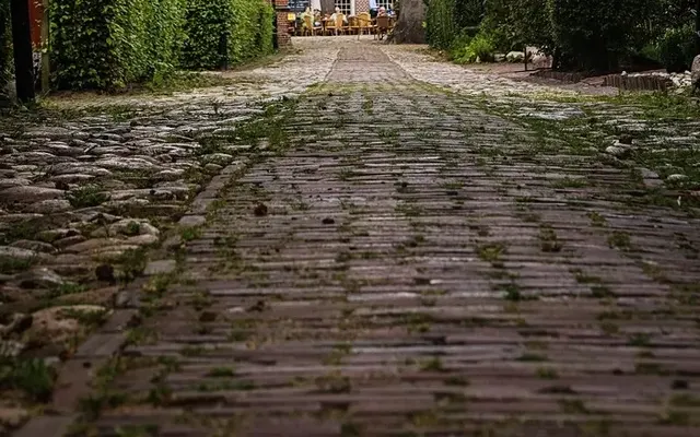 Unkrautentfernung